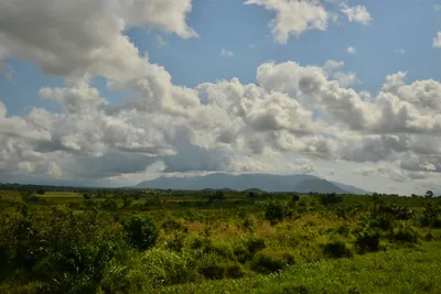 DSC_4380 (Large).JPG